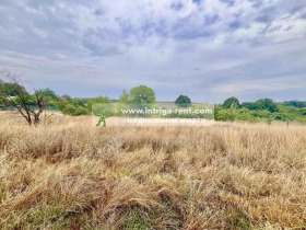 ����� ������� ������,���� �������, �.�. �������>