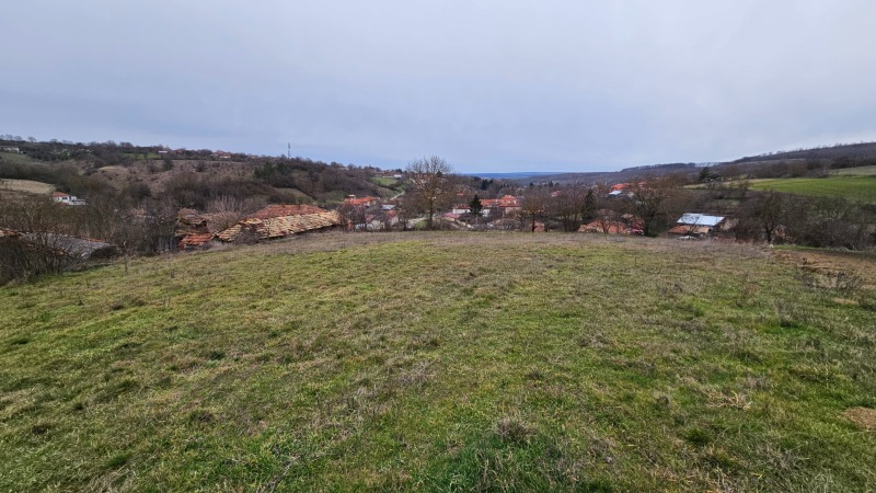 Продава ПАРЦЕЛ, с. Мортагоново, област Разград, снимка 3 - Парцели - 53323685