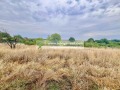 Продава ПАРЦЕЛ, град Хасково, в.з. Хасково • 27000 € / 52807.41 лв. • 36073359 4