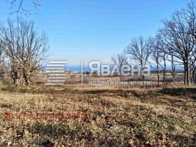 ������� ������ | Imot.bg � ����� ������ 8