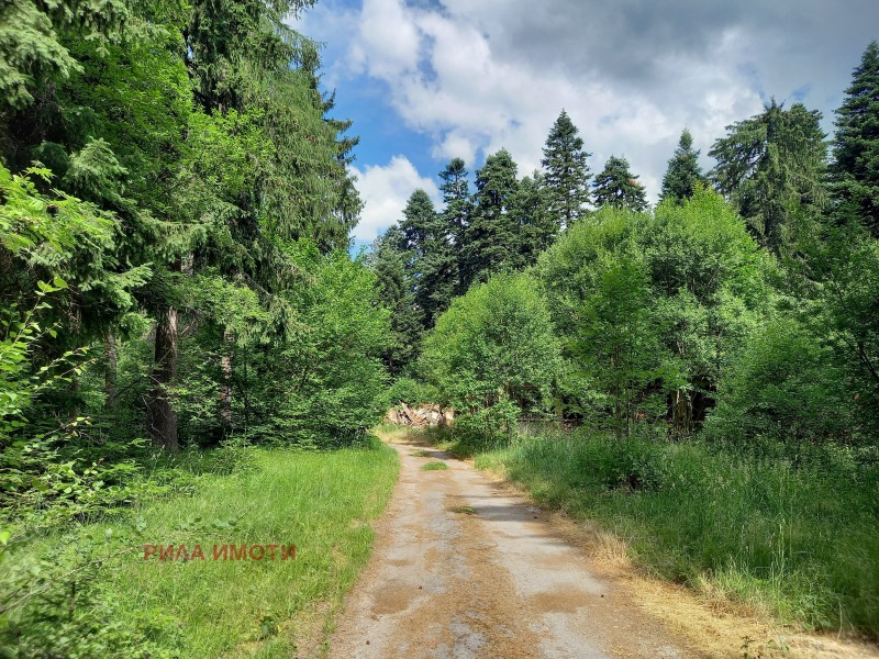 Myytävänä  Juoni Sofian alue , k.k. Borovets , 3002 neliömetriä | 22945866 - kuva [5]