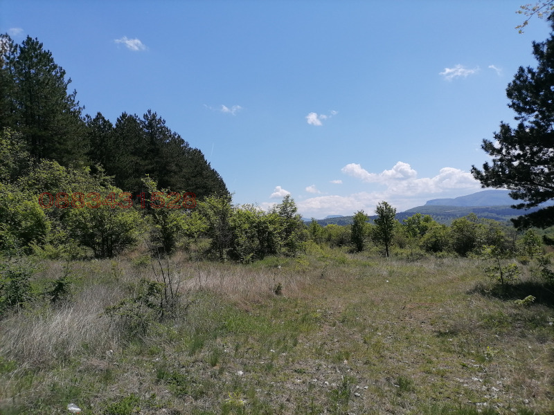 Продава ЗЕМЕДЕЛСКА ЗЕМЯ, гр. Ябланица, област Ловеч, снимка 3 - Земеделска земя - 52786363