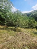 Продава КЪЩА, област Перник, с. Озърновци • 23500 лв. • 95372118 — Holmes.bg