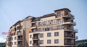 ����� ������� ����������,���� ������, ��������