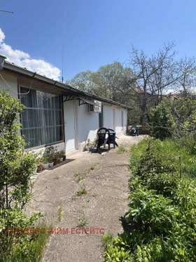 ������ ������� ����