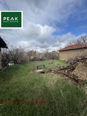 ����� ������� ������,�. �������, ������ �����