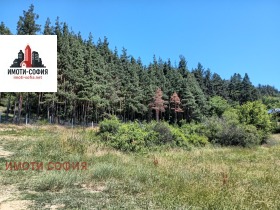 ������� ������ | Imot.bg � ����� ������ 10