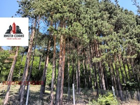 ������� ������ | Imot.bg � ����� ������ 7