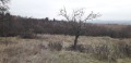 Продава ПАРЦЕЛ, гр. София, с. Подгумер, снимка 2
