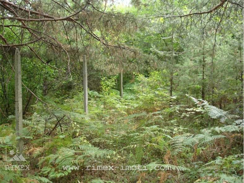 ������� ������ | Imot.bg � ����������� 4