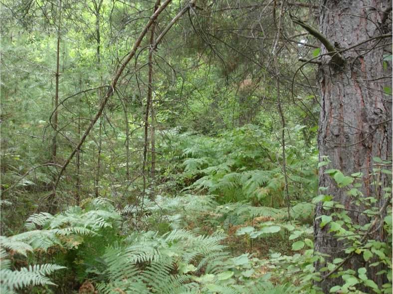 ������� ������ | Imot.bg � ����������� 3