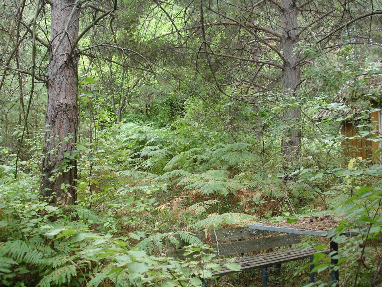 ������� ������ | Imot.bg � ����������� 5