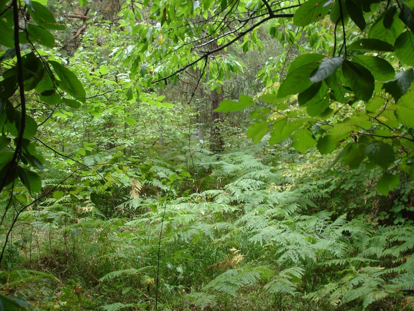 ������� ������ | Imot.bg � ����������� 6