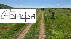 ������� ������ | Imot.bg � ����� ������ 13