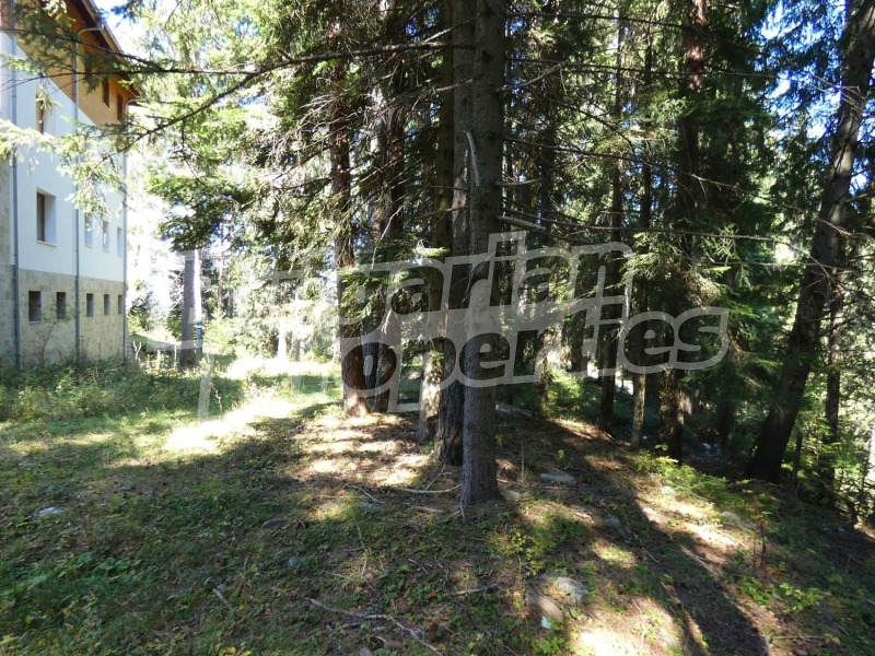 Продава ХОТЕЛ, с. Говедарци, област София област, снимка 7 - Хотели - 53183158