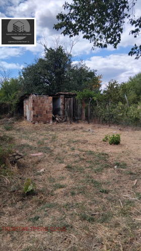 ������� ���� | Imot.bg � ����� ������ 5