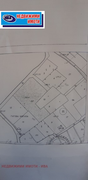 ����� ������� ���������� ����,��. ��������, ������ ������ �������