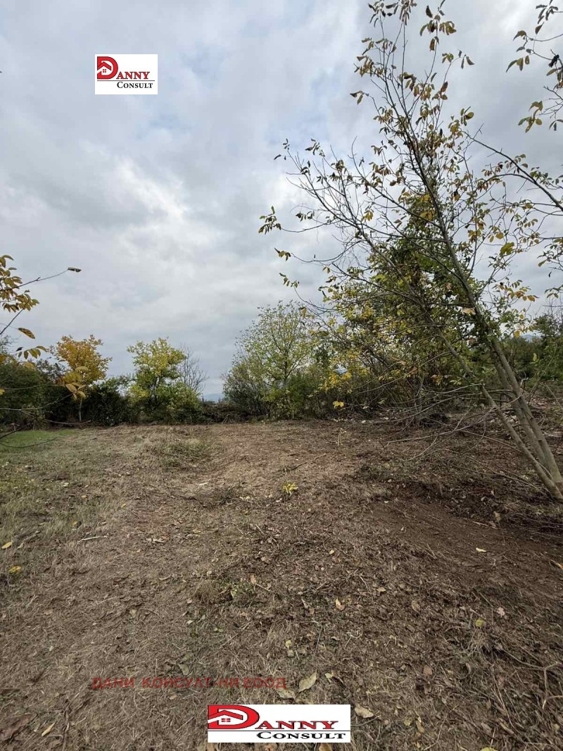 Продава  Парцел област Велико Търново , с. Церова кория , 2200 кв.м | 62566236 - изображение [8]