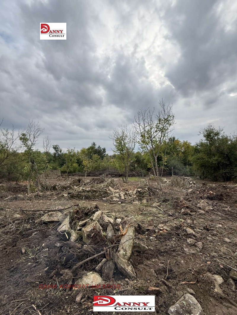 Продава  Парцел област Велико Търново , с. Церова кория , 2200 кв.м | 62566236 - изображение [13]