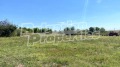 Продава ПАРЦЕЛ, с. Бяло поле, област Стара Загора, снимка 2