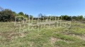 Продава ПАРЦЕЛ, с. Бяло поле, област Стара Загора, снимка 5