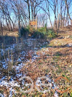 ������� ������ | Imot.bg � ����� ������ 2