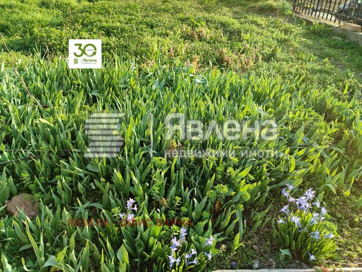 Na prodej  Dům oblast Varna , Kipra , 114 m2 | 58069826 - obraz [3]