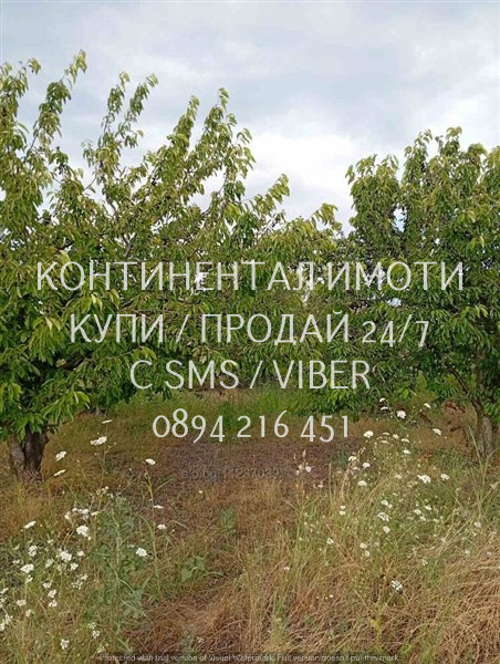 Продава ЗЕМЕДЕЛСКА ЗЕМЯ, с. Конуш, област Пловдив, снимка 4 - Земеделска земя - 55804377