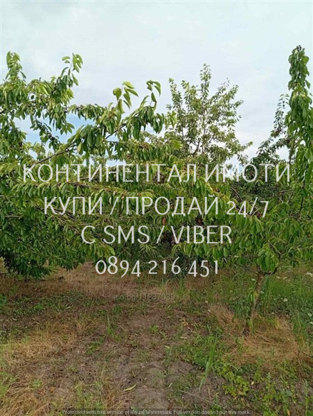 Продава ЗЕМЕДЕЛСКА ЗЕМЯ, с. Конуш, област Пловдив, снимка 3 - Земеделска земя - 55804377