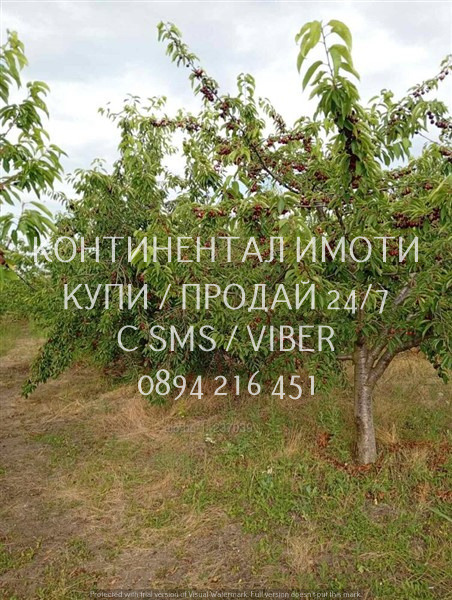 Продава ЗЕМЕДЕЛСКА ЗЕМЯ, с. Конуш, област Пловдив