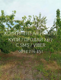 Продава ЗЕМЕДЕЛСКА ЗЕМЯ, с. Конуш, област Пловдив, снимка 3