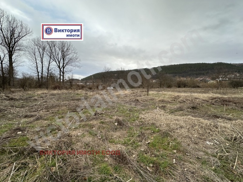Продава ПАРЦЕЛ в област Велико Търново, гр. Дебелец - 1700 кв.м / 26 000 € » 50 851.58 лв., ВИКТОРИЯ ИМОТИ ЕООД