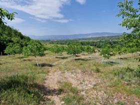 Land Rila, region Kyustendil 2