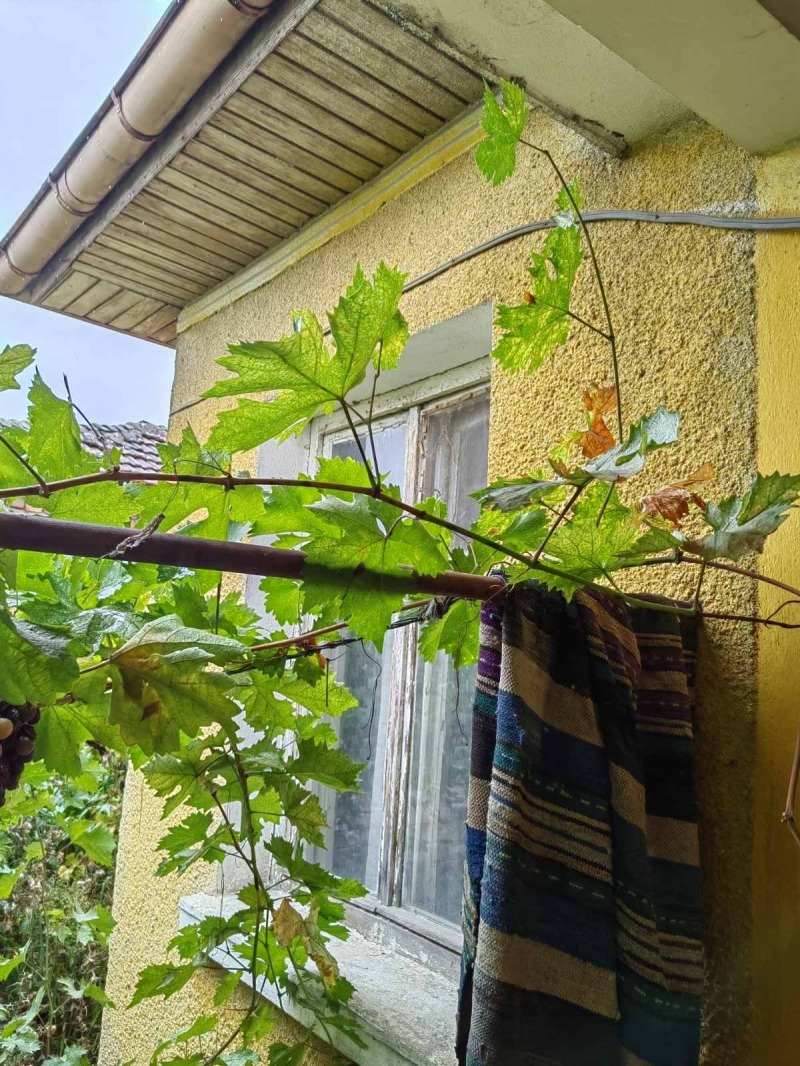 Til salgs  Hus region Plovdiv , Rasjevo Konare , 110 kvm | 94263591 - bilde [3]