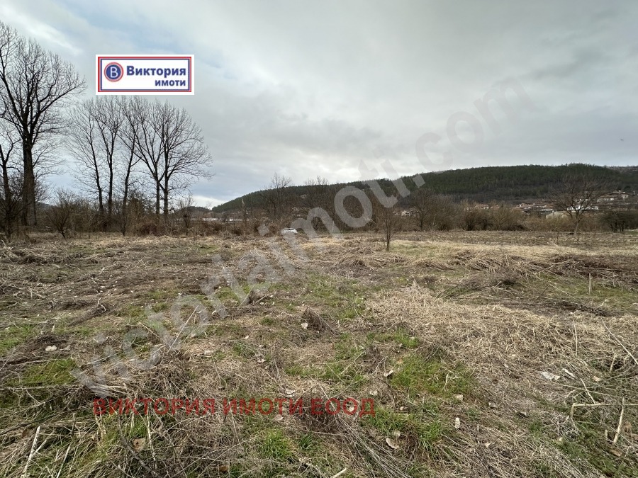 Продава ПАРЦЕЛ, гр. Дебелец, област Велико Търново, снимка 2 - Парцели - 44489958