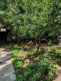 Продава КЪЩА, гр. София, с. Волуяк, снимка 4