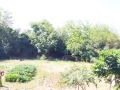Продава КЪЩА, с. Лехчево, област Монтана, снимка 3