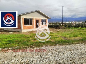 ������ ������� ����