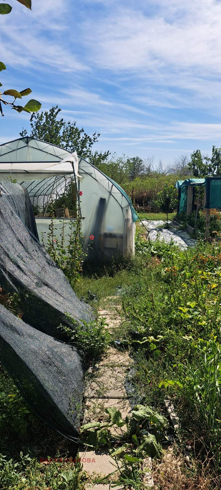 Продава КЪЩА, с. Горна Митрополия, област Плевен, снимка 8 - Къщи - 52331537