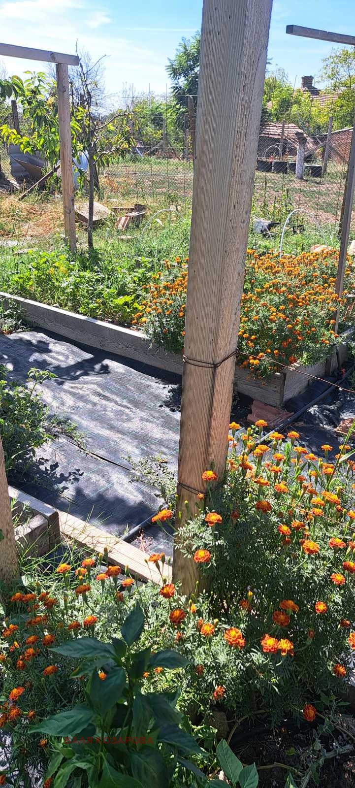 Продава КЪЩА, с. Горна Митрополия, област Плевен, снимка 9 - Къщи - 52331537