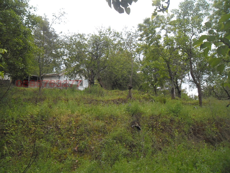 Продава ПАРЦЕЛ, гр. Своге, област София област, снимка 5 - Парцели - 52784230