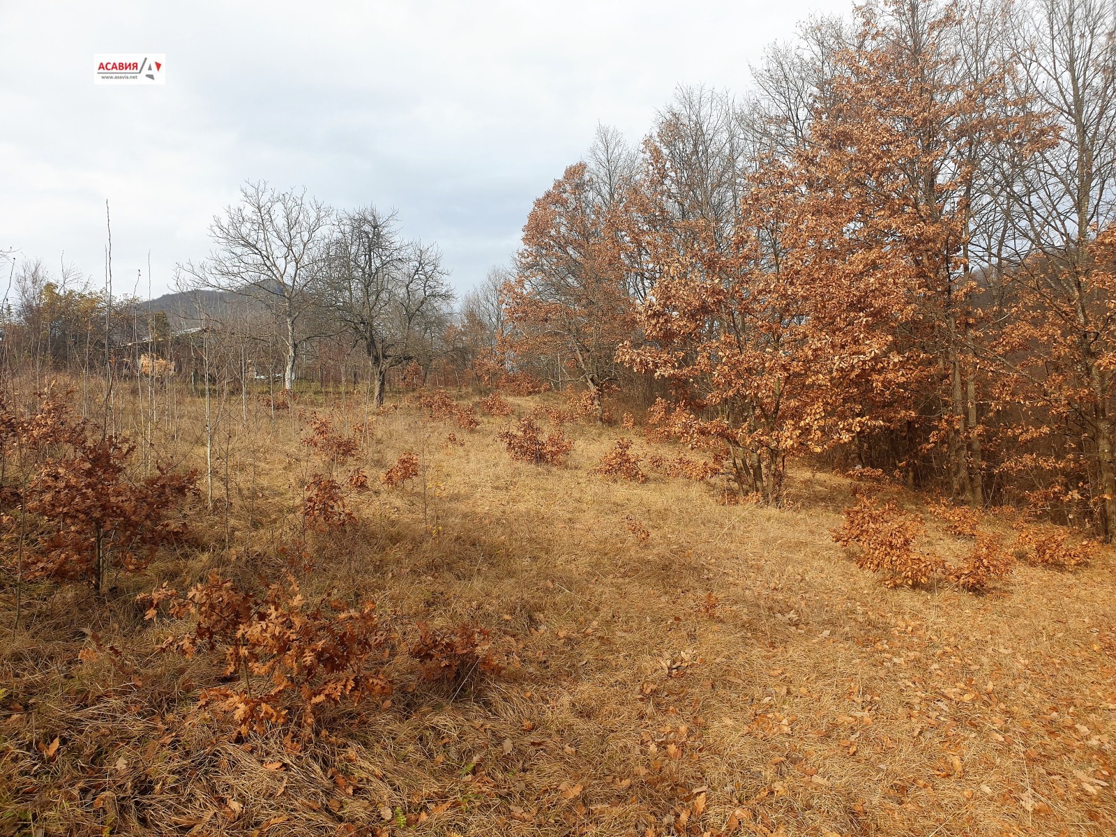 Продава ПАРЦЕЛ, гр. Тетевен, област Ловеч, снимка 2 - Парцели - 47096264