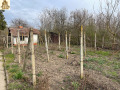 Продава КЪЩА, област Монтана, с. Мокреш • 19999 лв. • 85233662 — Holmes.bg