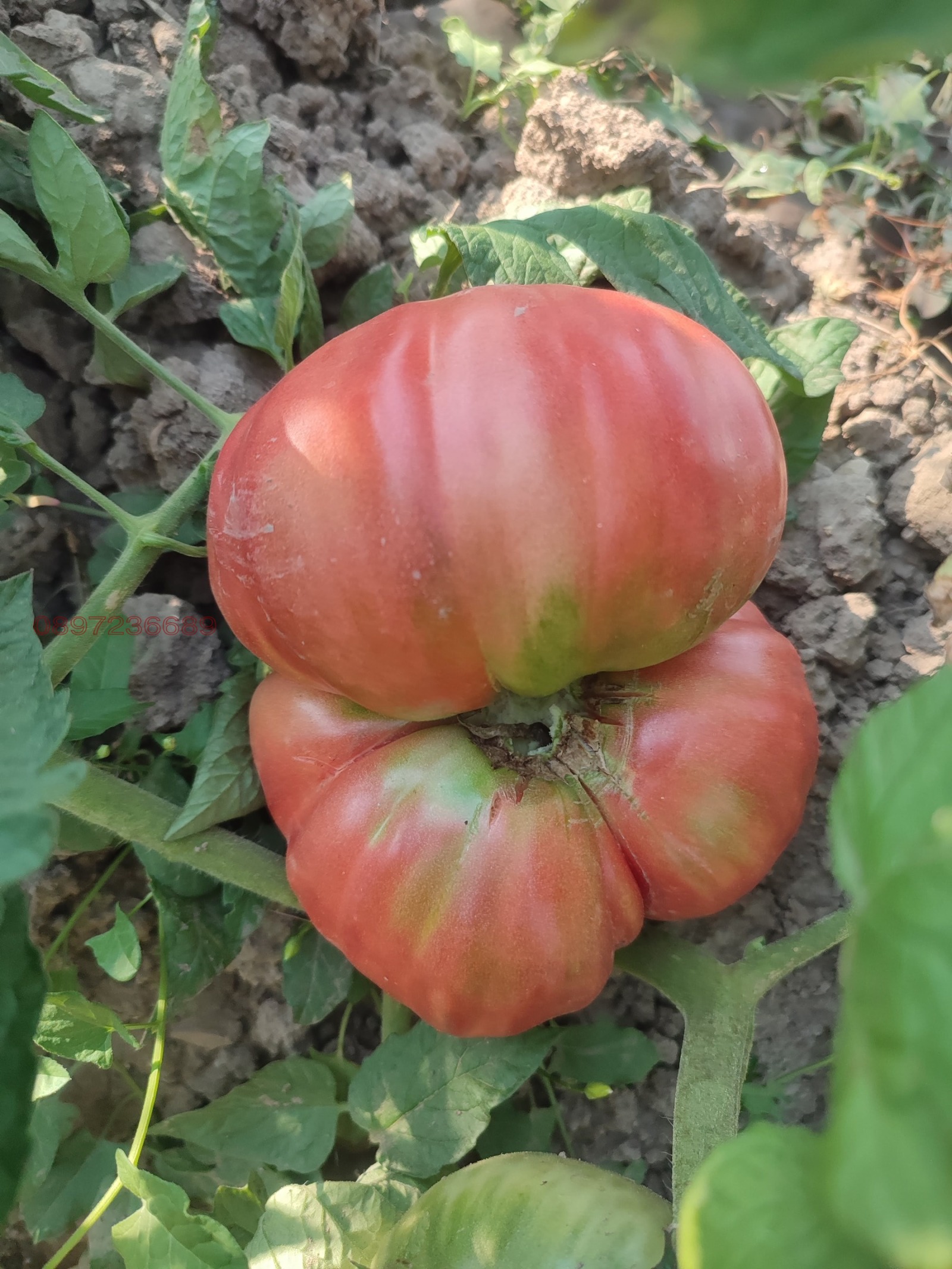 ������� ���� | Imot.bg � ����������� 6