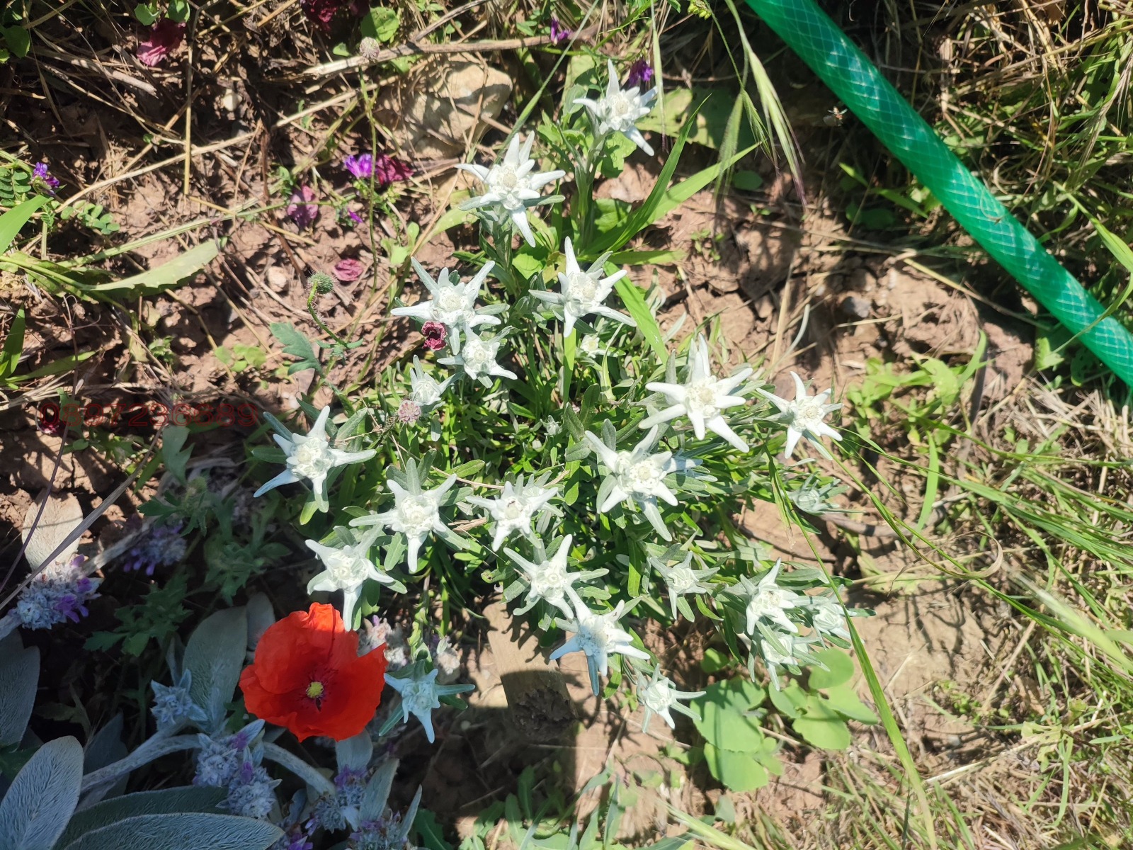 ������� ���� | Imot.bg � ����������� 15