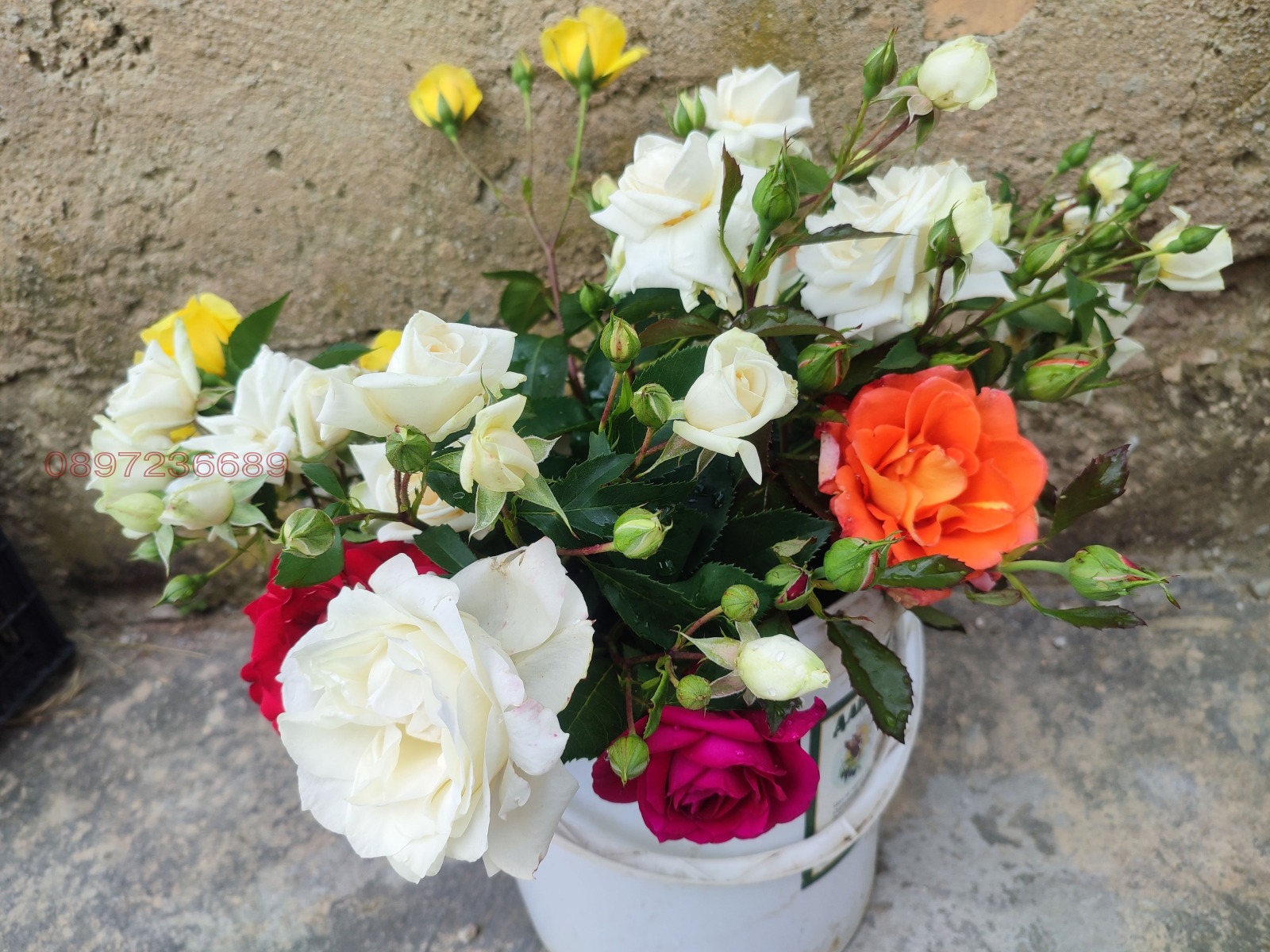 ������� ���� | Imot.bg � ����������� 3