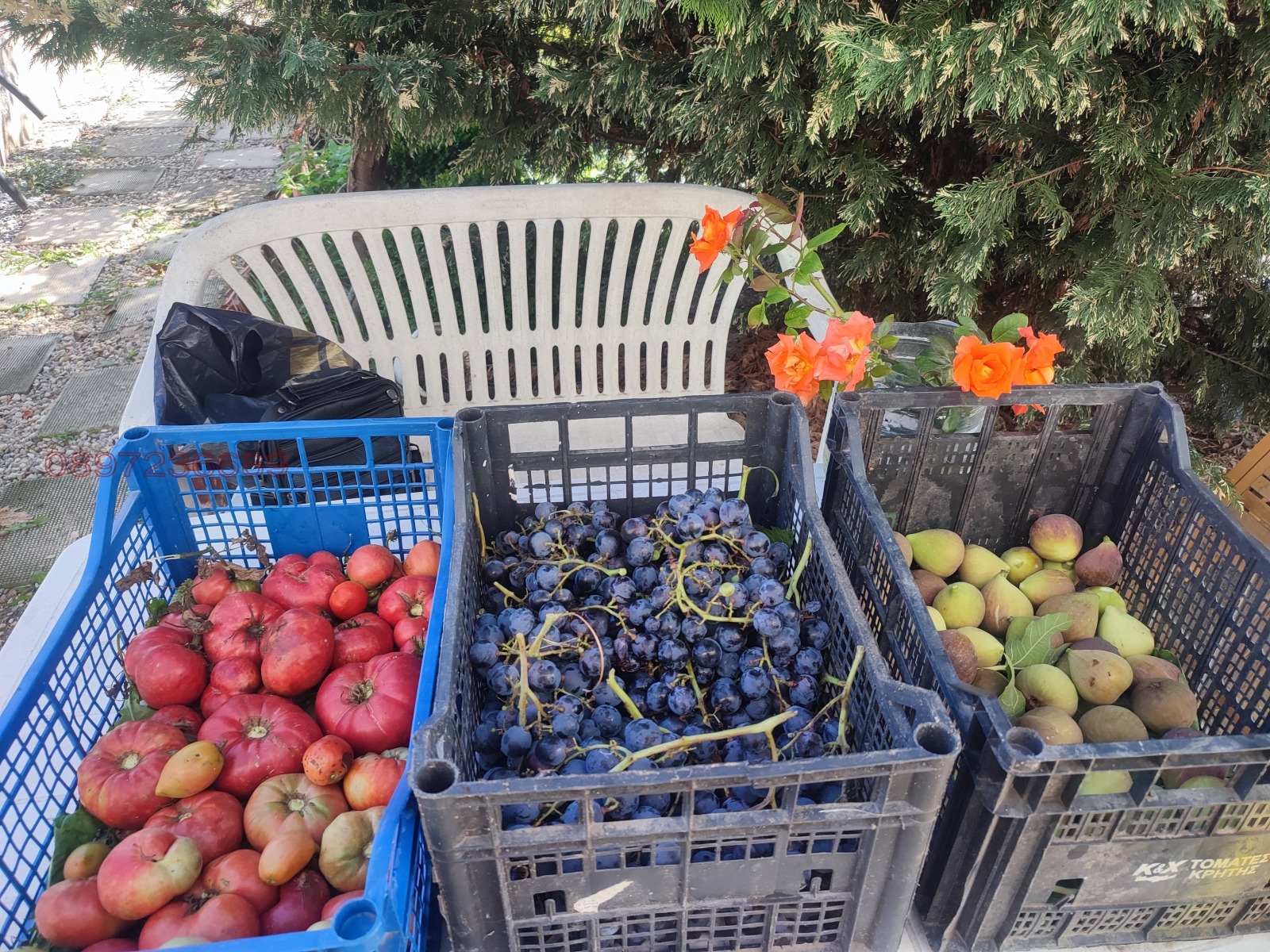 ������� ���� | Imot.bg � ����������� 4