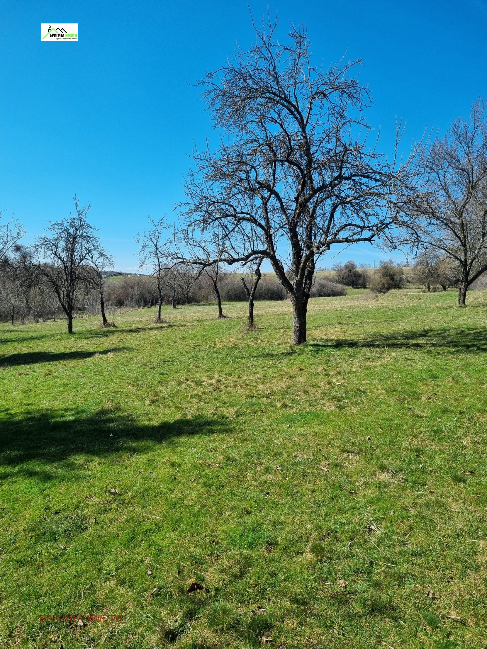 ������� ������ | Imot.bg � ����������� 1