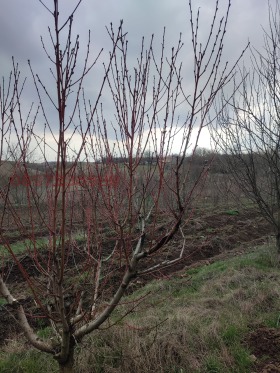 ������� ���� | Imot.bg � ����� ������ 17