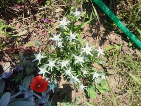 ������� ���� | Imot.bg � ����� ������ 15